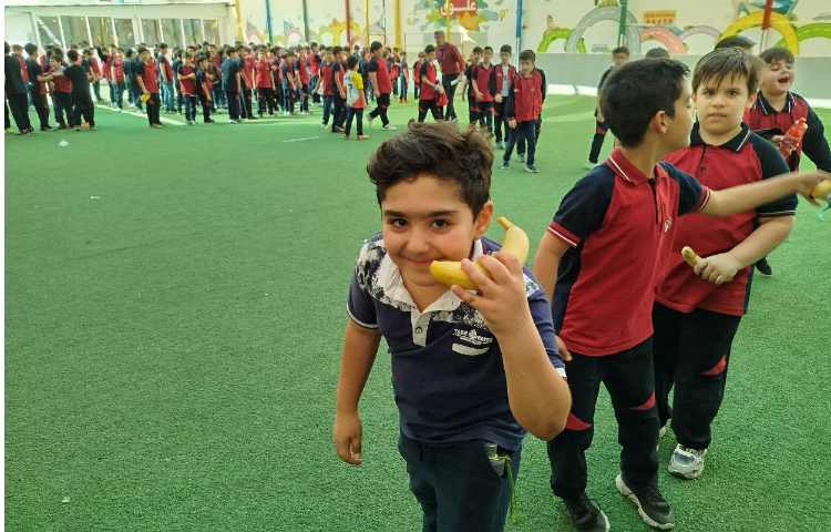 توزیع میانوعده 15