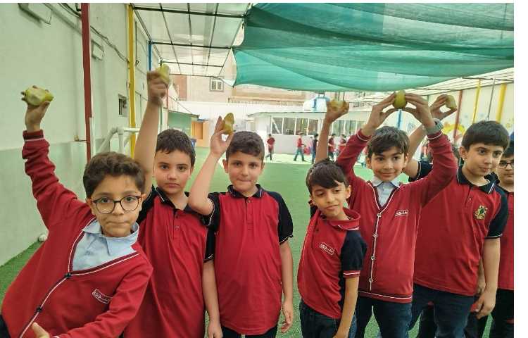 توزیع میانوعده 15