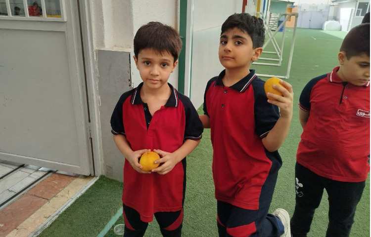 توزیع میانوعده 15