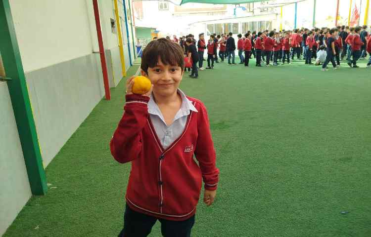 توزیع میانوعده 15