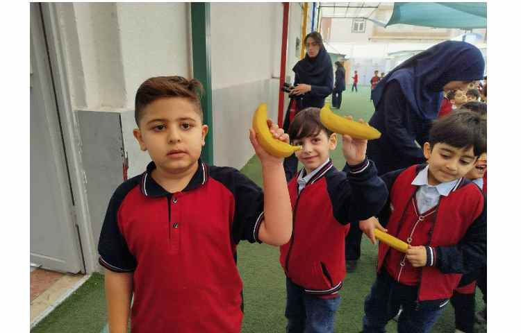 توزیع میانوعده 15