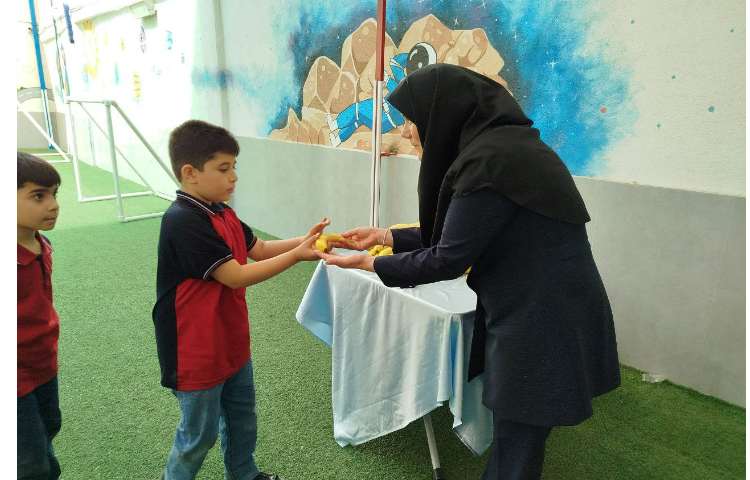 توزیع میانوعده 16