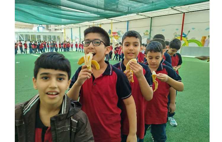 توزیع میانوعده 16