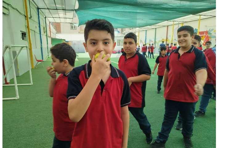 توزیع میانوعده 16