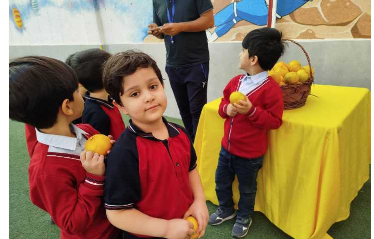 توزیع میانوعده 16