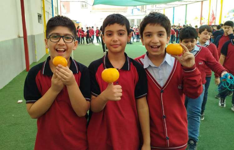 توزیع میانوعده 16