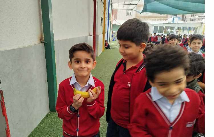 توزیع میانوعده 16