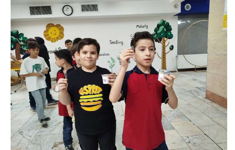 توزیع میانوعده 16