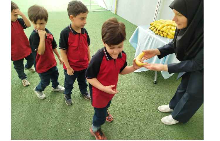 توزیع میانوعده 17