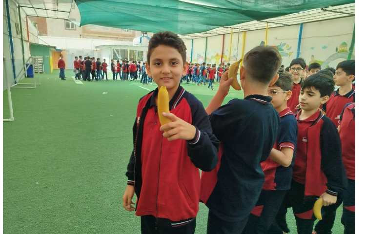 توزیع میانوعده 17