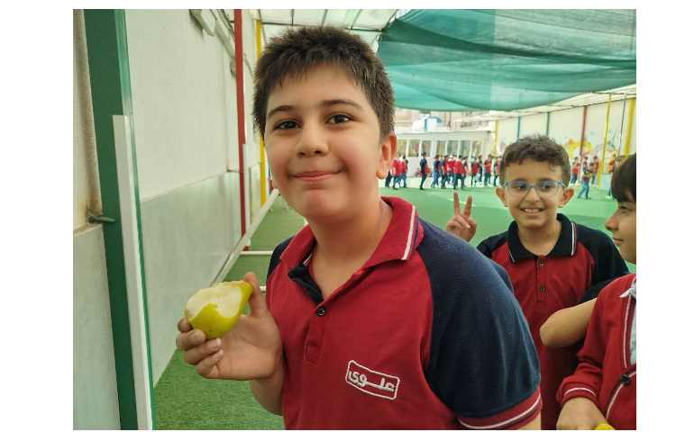 توزیع میانوعده 17