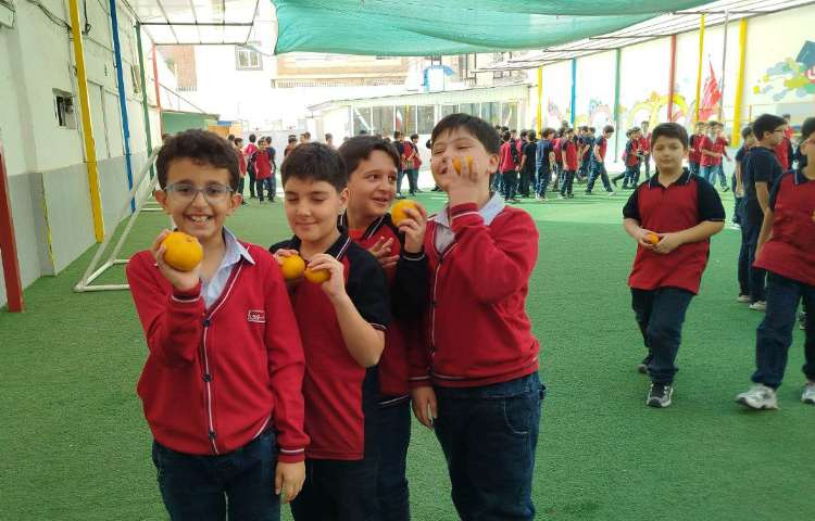 توزیع میانوعده 17