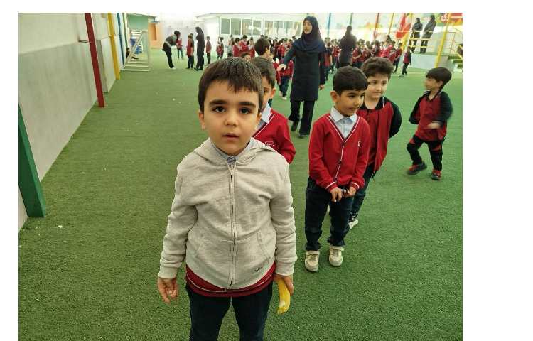 توزیع میانوعده 17