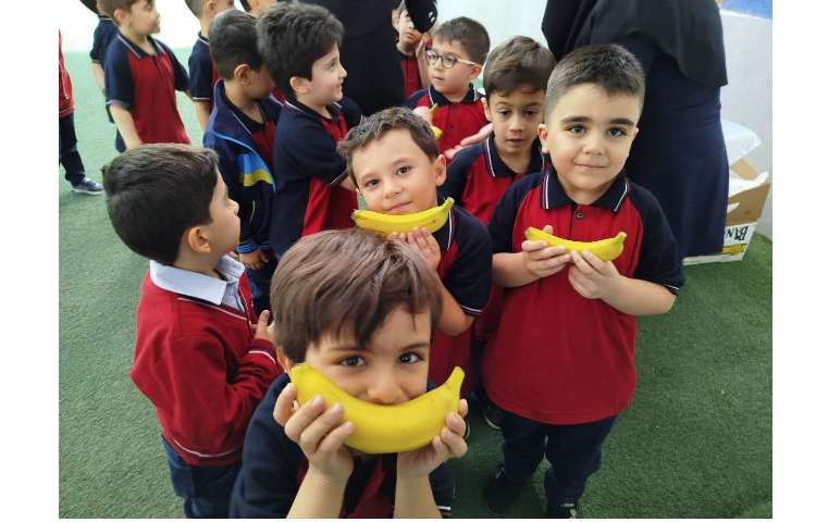 توزیع میانوعده 18