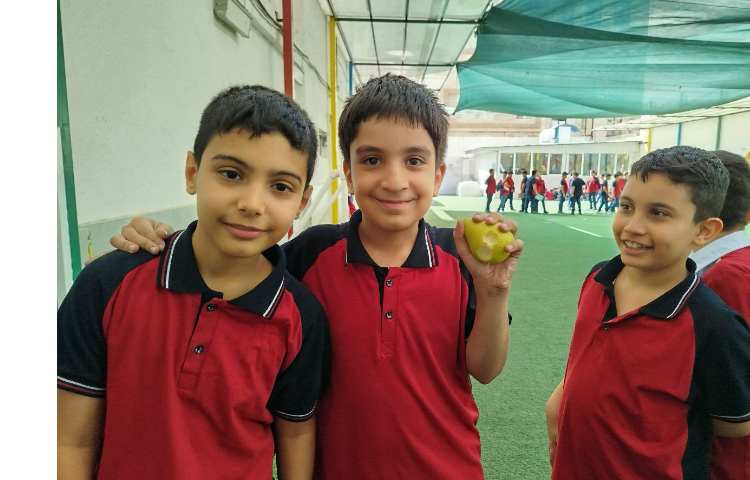 توزیع میانوعده 18