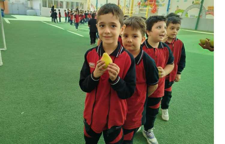 توزیع میانوعده 19