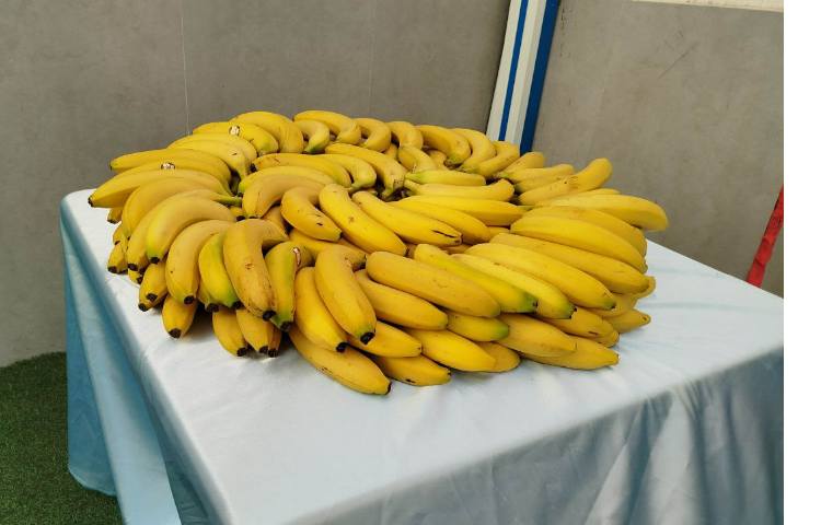 توزیع میانوعده 2