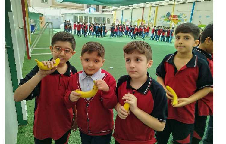 توزیع میانوعده 2