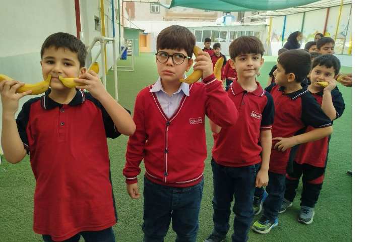 توزیع میانوعده 2