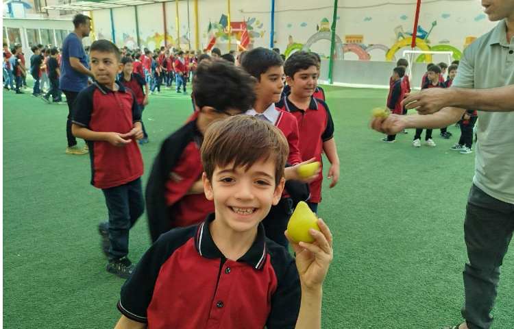 توزیع میانوعده 2