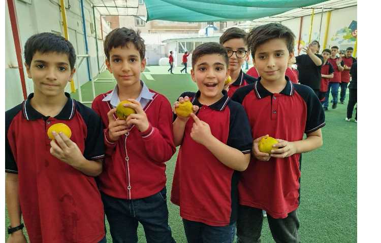 توزیع میانوعده 2