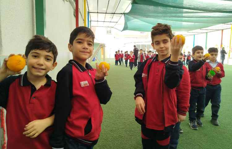 توزیع میانوعده 2