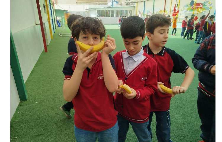 توزیع میانوعده 2