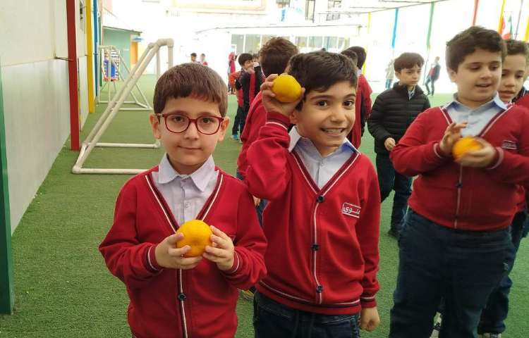 توزیع میانوعده 2