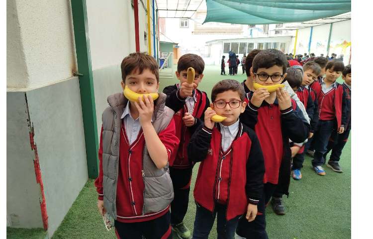 توزیع میانوعده 2