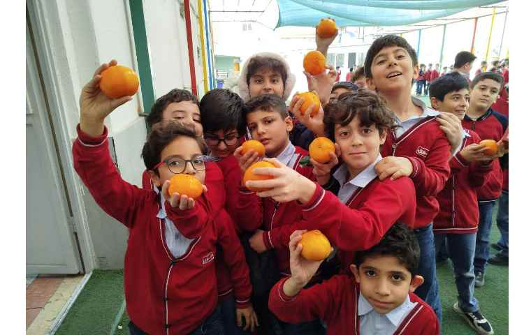 توزیع میانوعده 2