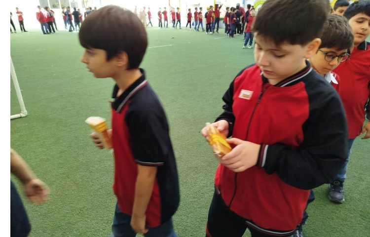 توزیع میانوعده 20