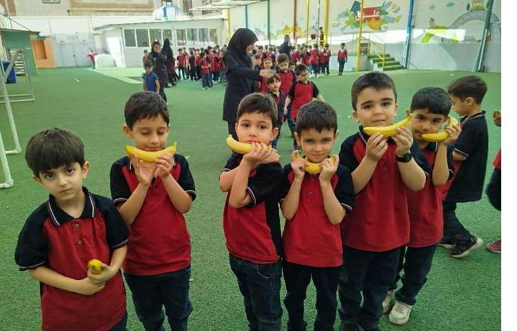 توزیع میانوعده 20