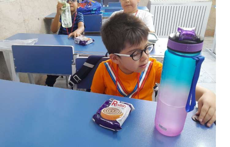 توزیع میانوعده 21