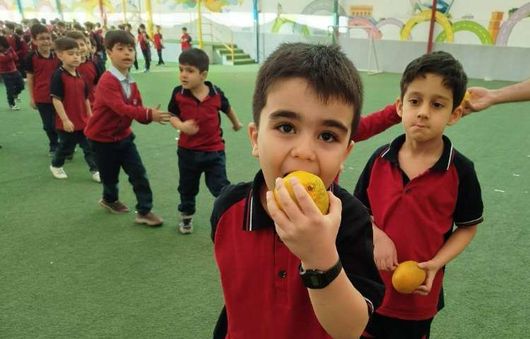 توزیع میانوعده 21