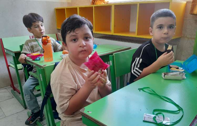 توزیع میانوعده 23