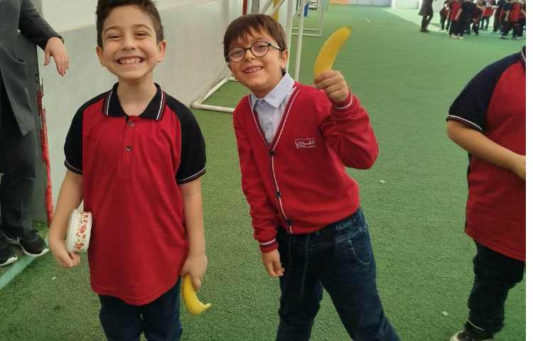 توزیع میانوعده 23