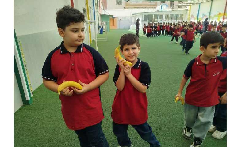 توزیع میانوعده 24