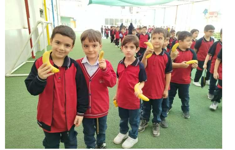 توزیع میانوعده 26