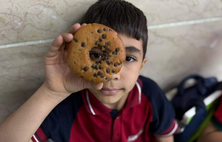 توزیع میانوعده 3