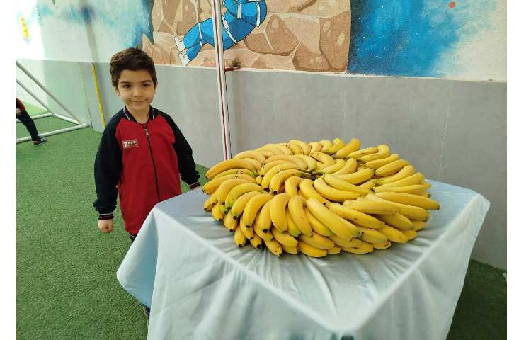 توزیع میانوعده 3