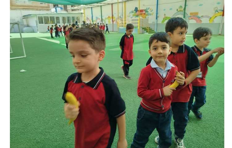 توزیع میانوعده 3