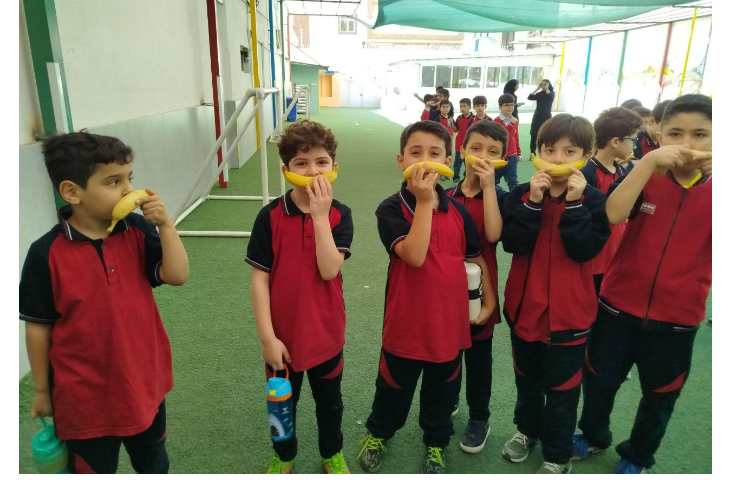 توزیع میانوعده 3