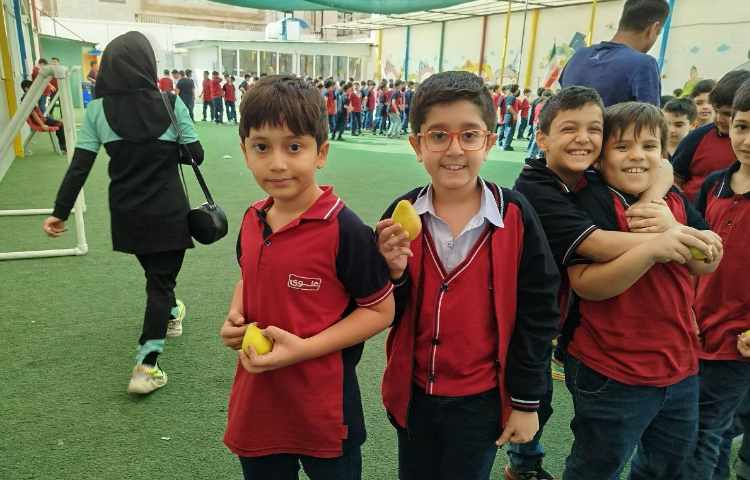 توزیع میانوعده 3