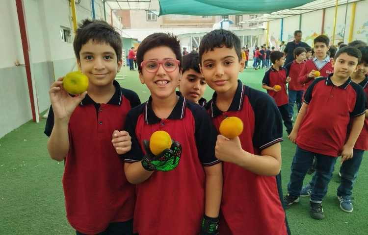 توزیع میانوعده 3