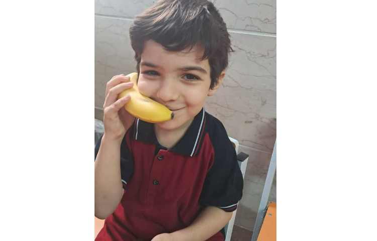 توزیع میانوعده 3