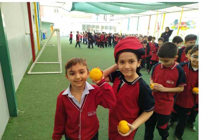 توزیع میانوعده 3