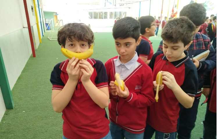 توزیع میانوعده 3