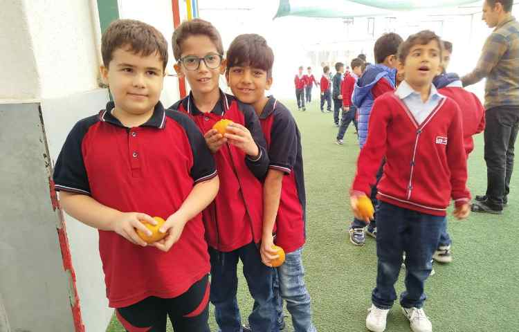 توزیع میانوعده 3