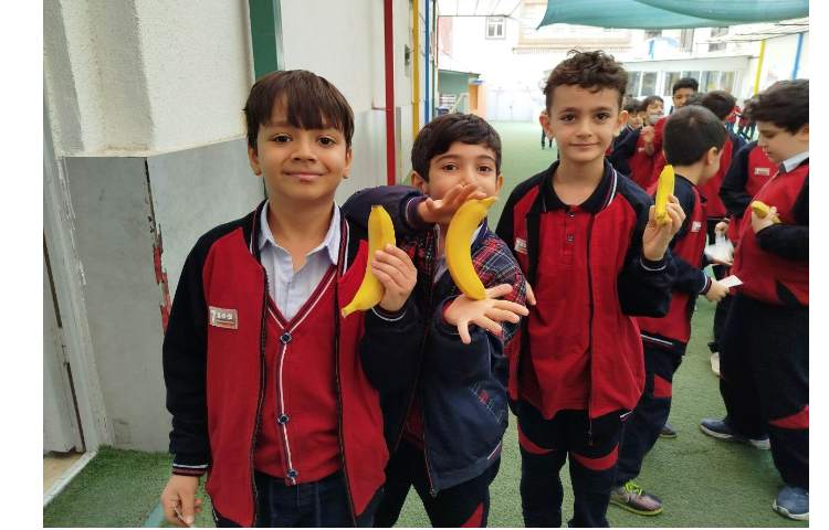 توزیع میانوعده 3