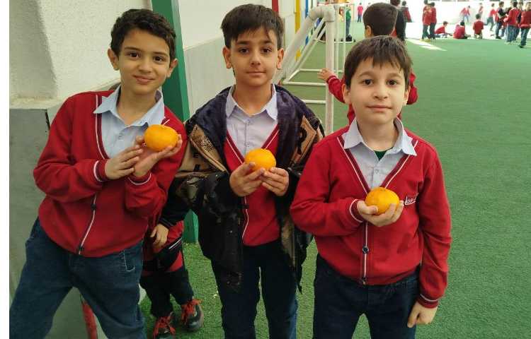 توزیع میانوعده 3